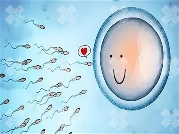 试管婴儿促排取卵对卵巢有什么影响？