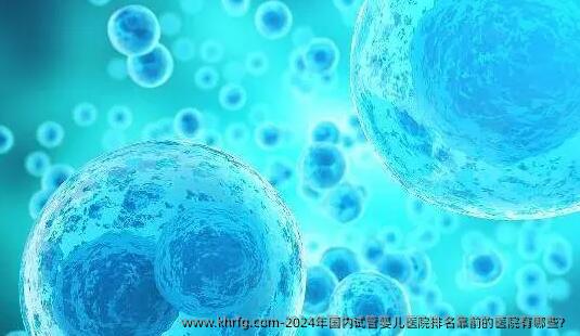 2024年国内试管婴儿医院排名靠前的医院有哪些?