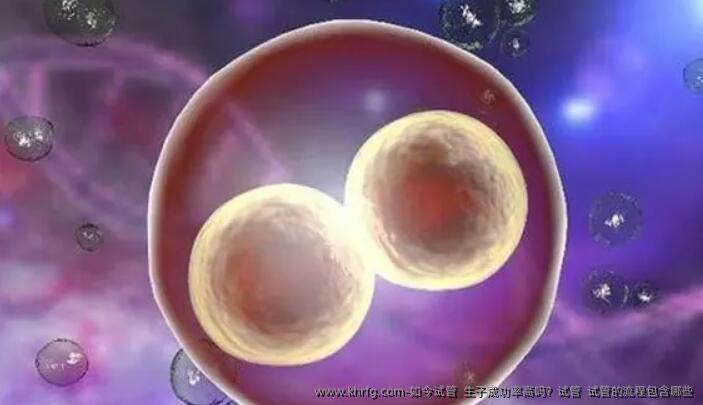 如今试管 生子成功率高吗?试管 试管的流程包含哪些