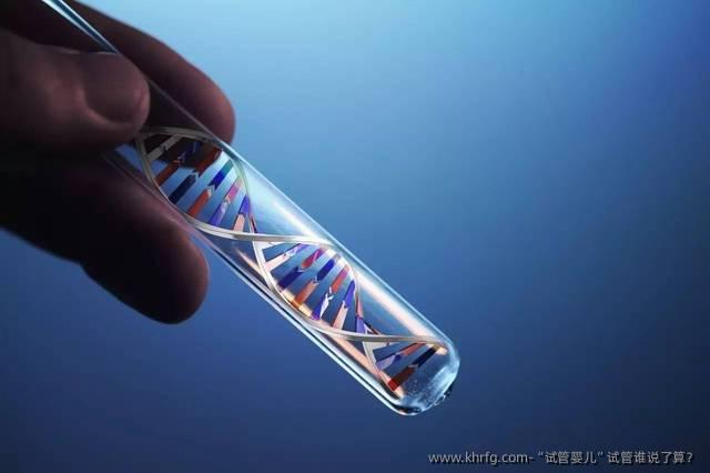 “试管婴儿”试管谁说了算？