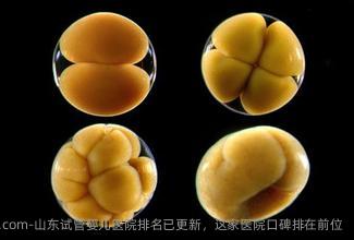 山东试管婴儿医院排名已更新，这家医院口碑排在前位