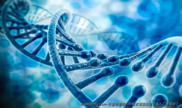 多囊卵巢想怀孕做试管婴儿好还是人工授精好?