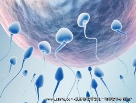 成都做试管婴儿一般需要多少费用?