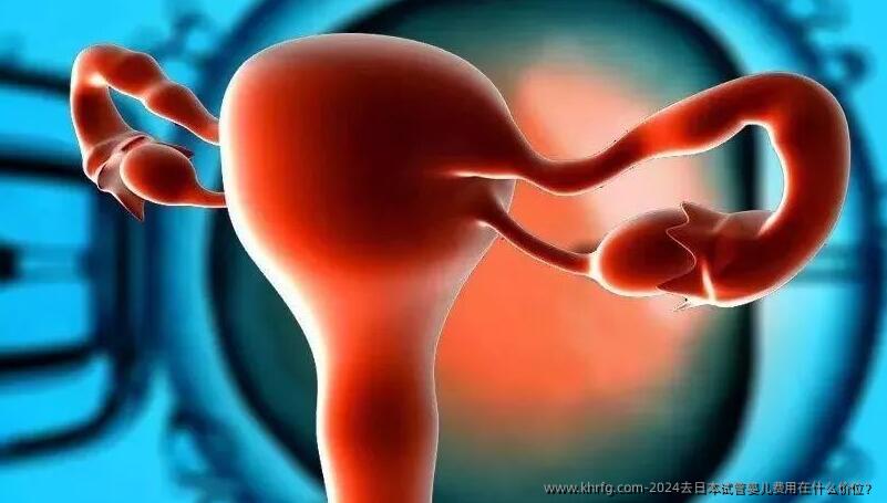 2024去日本试管婴儿费用在什么价位?