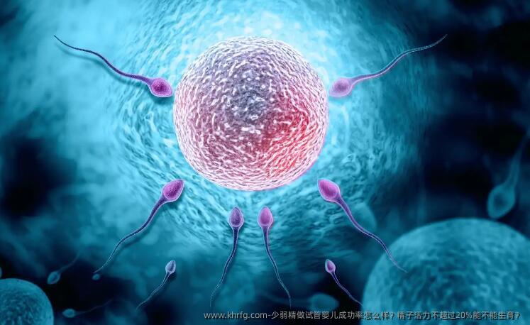 少弱精做试管婴儿成功率怎么样?精子活力不超过20%能不能生育?