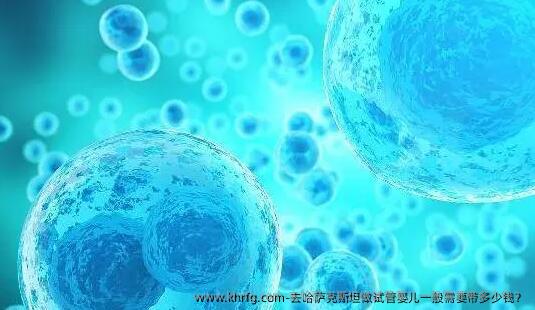 去哈萨克斯坦做试管婴儿一般需要带多少钱?