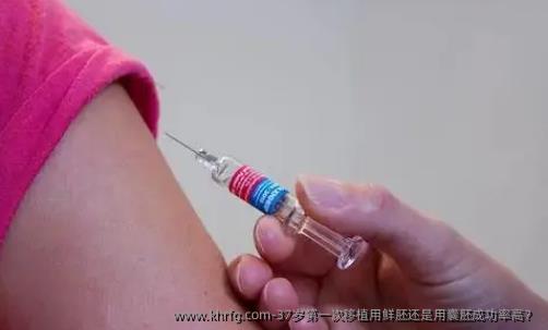 37岁第一次移植用鲜胚还是用囊胚成功率高？