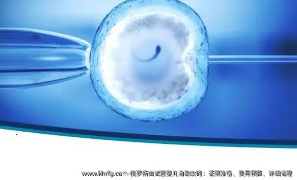 俄罗斯做试管婴儿自助攻略：证照准备、费用预算、详细流程