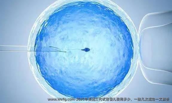 2025年美国三代试管婴儿费用多少，一般几次成功一文解析