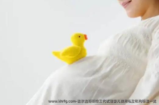 吉尔吉斯斯坦三代试管婴儿费用私立机构标准一览