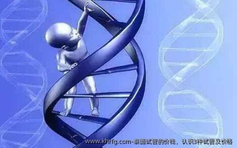 泰国试管的价钱，认识3种试管及价格