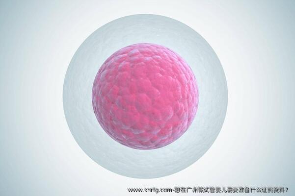 想在广州做试管婴儿需要准备什么证照资料？