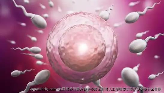 土耳其冬天最冷是多少度土耳其人工授精成功率是多少受什么影响