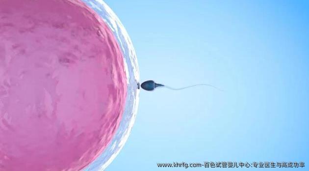 百色试管婴儿中心:专业医生与高成功率