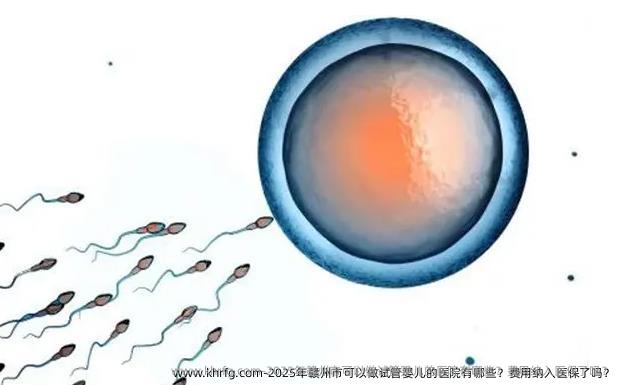 2025年赣州市可以做试管婴儿的医院有哪些？费用纳入医保了吗？