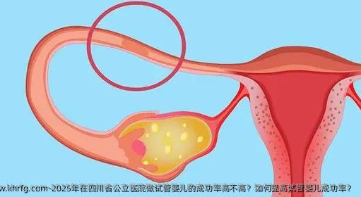 2025年在四川省公立医院做试管婴儿的成功率高不高？如何提高试管婴儿成功率？