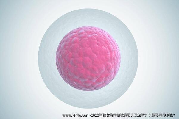 2025年在文昌市做试管婴儿怎么样？大概要花多少钱？