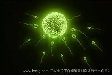 三岁小孩子白细胞高对身体有什么危害?