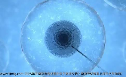 2025年在南京市做试管生孩子要多少钱？南京市试管婴儿技术水平如何？