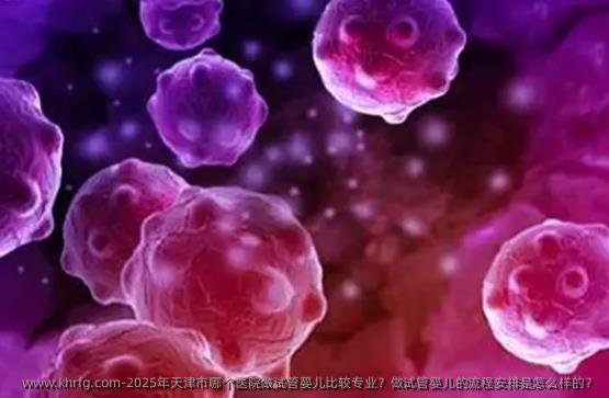 2025年天津市哪个医院做试管婴儿比较专业?做试管婴儿的流程安排是怎么样的?