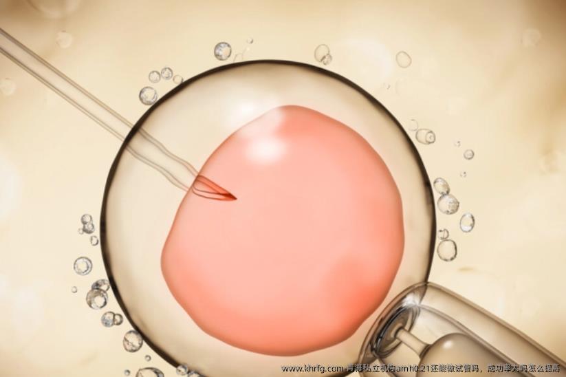 青海私立机构amh0.21还能做试管吗，成功率大吗怎么提高