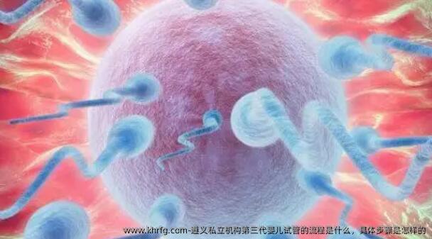 遵义私立机构第三代婴儿试管的流程是什么，具体步骤是怎样的