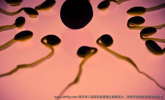 南平市人民医院试管婴儿费用多少，附南平试管总费用明细参考