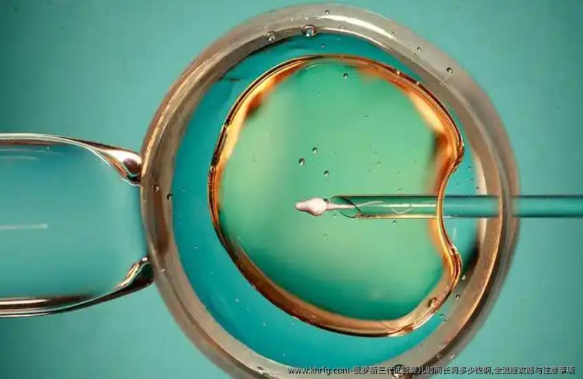 俄罗斯三代试管婴儿时间长吗多少钱啊？全流程攻略与注意事项