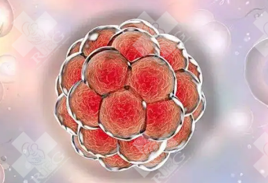 子宫息肉造成不育不育怎么办?