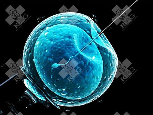 如何确定试管打夜针的时间?