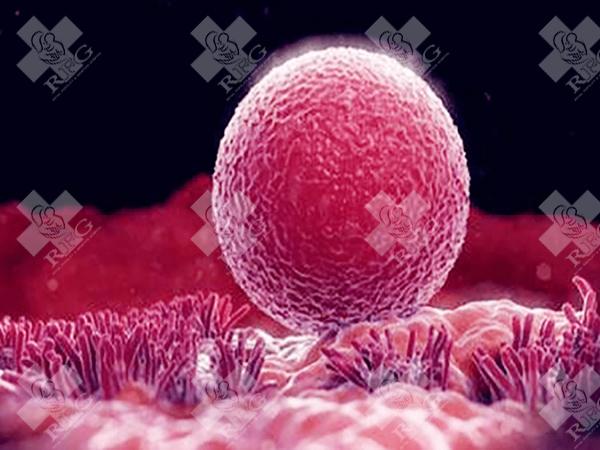 福建三代试管医院有几家?哪家好?