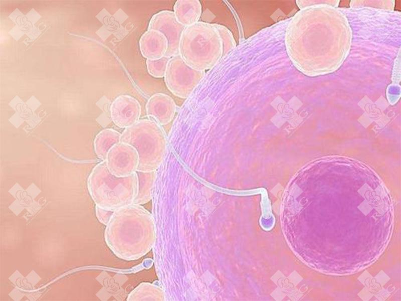 黑龙江三代试管婴儿医院排名情况?哪家医院好?