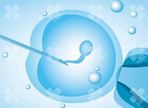 辽宁试管婴儿医院排名?哪家医院好?