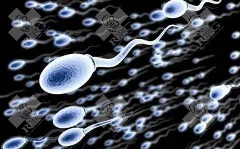 缺陷精子率是什么意思？如何降低精子畸形率?