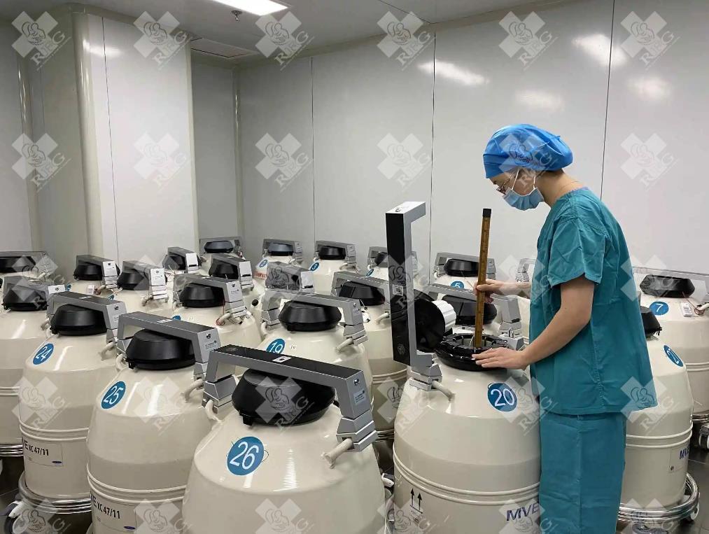 在合肥试管婴儿移植冻胚流程是怎样的？