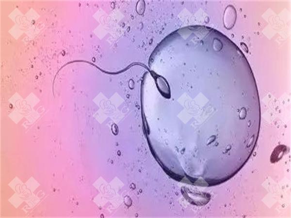 促排卵会不会造成女性卵巢早衰？