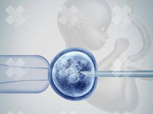 试管卵泡取出后多久进行精子结合比较好？