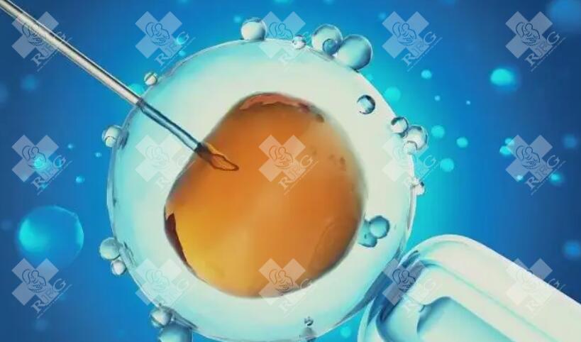 做三代试管前基因检查囊胚有高风险还可以移植吗？