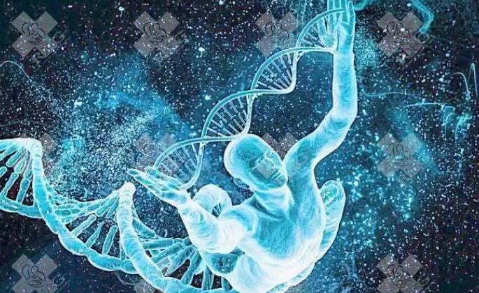 鲜胚移植17天后需要喝汤提高着床几率吗？