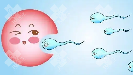 内蒙古试管婴儿医院哪家排名好?怎么选择专业医院?