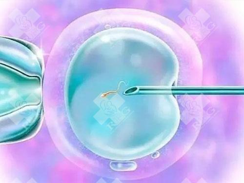 第二次试管婴儿是否需要支付更多费用？