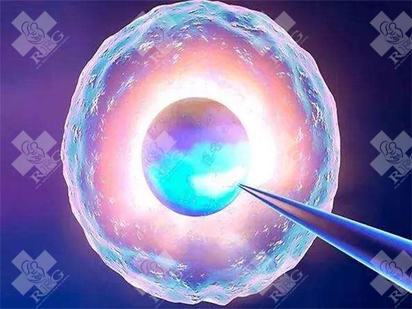做试管婴儿的步骤是什么？