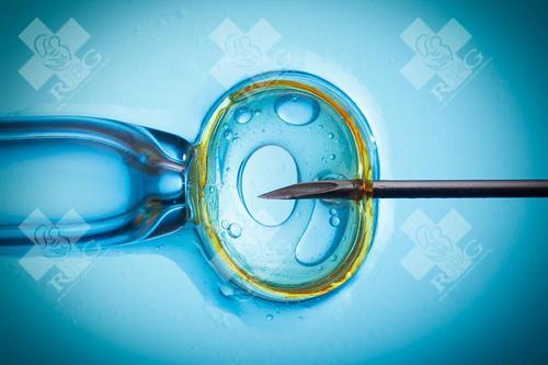 河北邢台到哪边可以做乳腺肿瘤试管婴儿