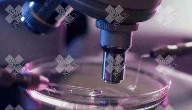 试管移植多次不着床吃纷乐硫酸羟氯喹片有什么作用