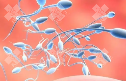 新疆柯尔克孜不找中介去哪做免疫性不育试管婴儿