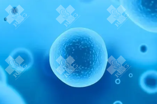 去哪里可以做子宫萎缩试管