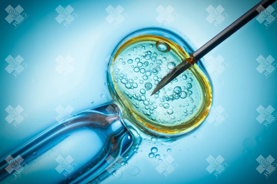 随着科学技术的发展，试管受到广大家庭的热捧，更有幸福的家庭实现了自己的梦想，但是试管能否走医保呢?
