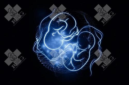 吉安试管婴儿医院哪家可以做