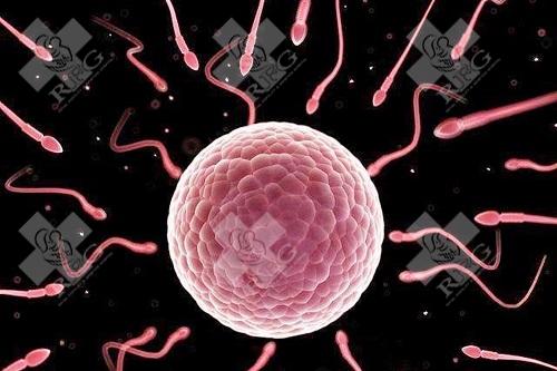 多囊不想做试管婴儿可以吗?多囊不想做试管婴儿能怀孕吗?