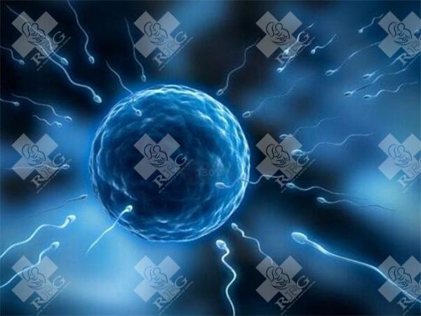 多次促排卵成功却怀不上孩子是什么情况？原因有这四点！